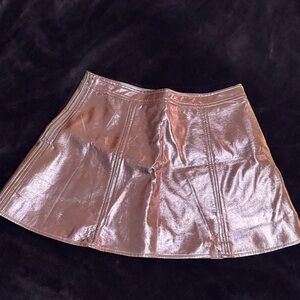 TCEC - NWT Metallic Skater Skirt